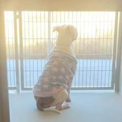 Korra’s Heartbreaking Journey from Abandonment to Hope