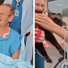 Elderly Man’s Health Improves After Heartfelt Reunion With His Dog