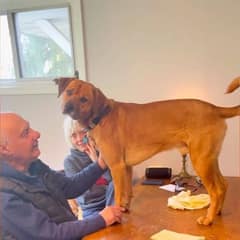 A Granddog’s Paradise: Myko Finds Endless Love At His “Vacation Home”