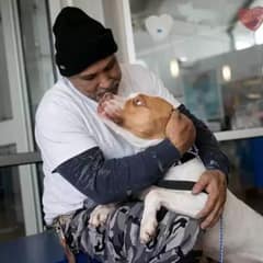 The Heartwarming Reunion of a Man and His Pit Bull After a Painful Shelter Stay