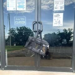 Little Dog Found in a Bag Outside Shelter Finally Gets the Help She Deserves