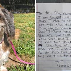13-Year-Old Dachshund Mix Abandoned With a Heartbreaking Note
