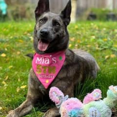 The Most Overlooked Dog in the Country Finally Finds a Home
