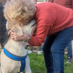 A Missing Dog Vanished for Years Until One Call Changed Everything