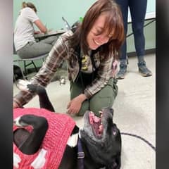 The Dog Who Waited 1400 Days to Be Loved at Last