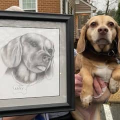 Family Leaves Senior Dog With Her Favorite Things And A Loving Portrait
