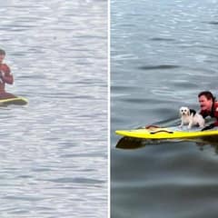 Tiny Dog Battles Cold Ocean in California Until Lifeguards Rush to Save Her
