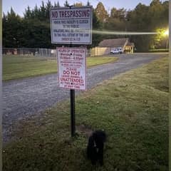 Abandoned Pup Tied To A Shelter Sign Finds Love And Safety