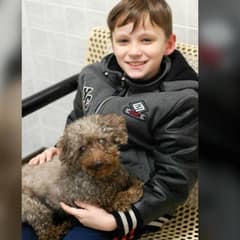 Senior Poodle Left Behind Finds Unbreakable Bond With Kind-Hearted Boy