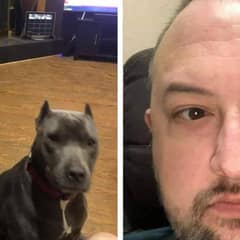 How Two Rescue Dogs Became Their Owner’s Unexpected Heroes
