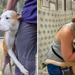 Dog’s Gentle Hug Helps Him Escape the Shelter and Find Hope