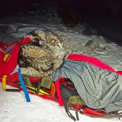 Dog Stays Beside Injured Owner for 13 Hours in Freezing Snow