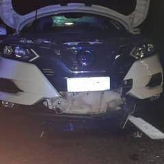 Brave Pup Survives Near Fatal Accident on Italian Road