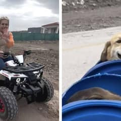 One Woman’s Sanctuary Is Changing the Lives of Hundreds of Disabled Dogs