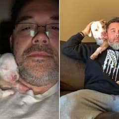 The Beautiful Lifelong Bond of Two Puppies Who Found Their Forever Family Together
