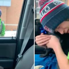 A Christmas Miracle: The Little Pug Who Came Home Just in Time