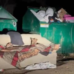 Stray Dog Rescued from Cold Couch Finds Hope and Love