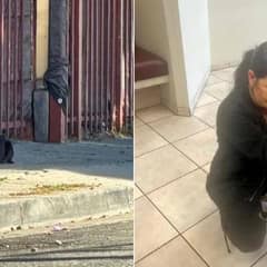 Stray Dog Who Waited in the Same Spot for Months Finds His Family Again