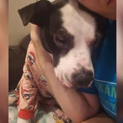 Senior Dog Returned Five Times Still Waits For Love