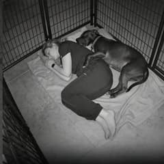 Shelter Dog Shook All Night Until One Quiet Act Changed Everything