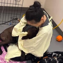 Monarch The Sick Shelter Puppy Who Refused To Let Go Of Life