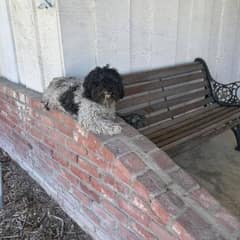 Little Maya’s Lonely Wait Turns Into a New Beginning