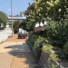Shelter Workers Find Two Dogs Trapped In A Crate On A Scorching Hot Day