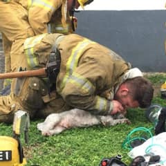 Firefighter Saves Little Nalu From Fire And Gives Him A Second Chance At Life