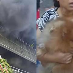 Woman Fights Through Fire And Smoke To Save Her Trapped Dogs