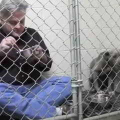 Shelter Dog Too Afraid To Eat Finds Comfort In A Vet’s Quiet Kindness