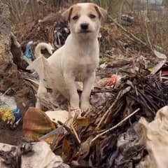 A Shattered Heart Finds Comfort After Life on the Streets