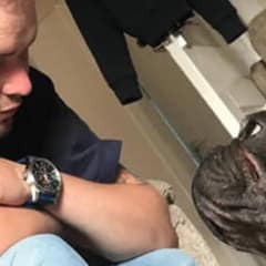 A Loyal Pup Couldn’t Handle The Moment His Best Friend Was Gone