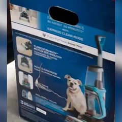 Shelter Staff Find a Carpet Cleaner Box at the Gate and Realize a Dog Is Trapped Inside