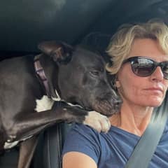 Shelter Dog Comforts His Rescuer After Adoption Falls Through