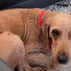 This Sweet Girl Had To Learn What Love Even Meant After Years of Heartbreak