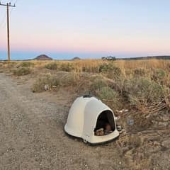 Two Frightened Eyes Peek From Desert Igloo — Then Love Changes Everything