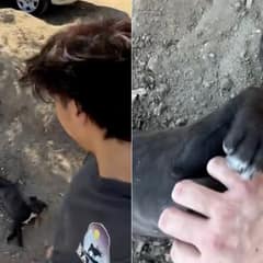 A Tiny Black Puppy Changed Everything When He Wagged His Tail at the Tijuana Dump