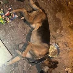 From a Dark Basement Floor to the Light of Love: Hope’s Miracle