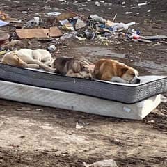 Three Best Friends Found Each Other Again After The Most Heartbreaking Year Apart
