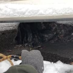 He Looked Like a Pile of Debris Under a Van, Until One Small Movement Changed Everything
