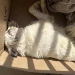 The Box on Mom’s Porch Held a Secret That Changed Everything