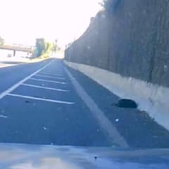 The Dark Shadow By The Highway That Changed Everything Forever