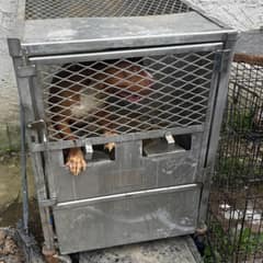 The Metal Crate Was Burning, But Redds Was Still Holding On