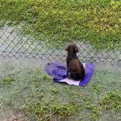 He Waited in the Rain on a Texas Baseball Field, Still Believing His Family Would Come Back