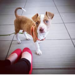 Maddie Was Handed Off In a Brooklyn Park, But Patience Gave Her Life Back
