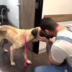 When Mildred Could Barely Stand, Love Helped Her Find Her Way Home