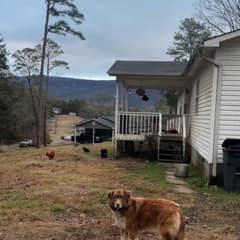 Lucy Waited On A Cold Porch, And Still Chose Love When Help Finally Came
