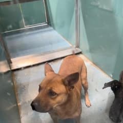 After 750 Days Behind Bars, Bailie Finally Met The Person Who Would Not Leave Her Behind