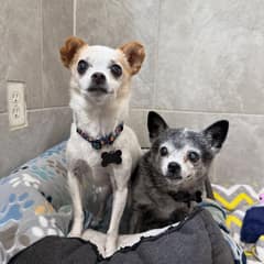 At 16, Tulip And Buffy Lost Everything, Then Found People Ready To Help Them Heal
