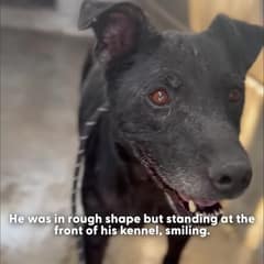 Duncan Never Stopped Smiling, Even When His Shelter Deadline Was Near